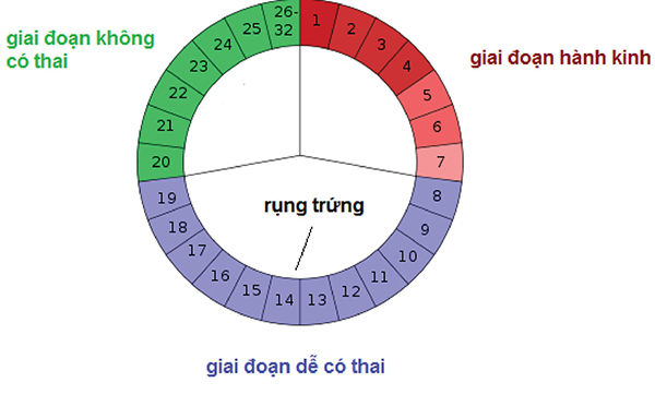 Không phải chị em nào cũng biết cách tính chu kỳ kinh nguyệt 32 ngày