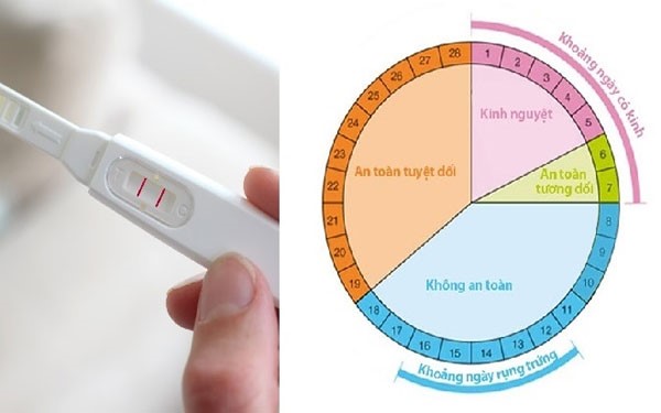 Cách tính ngày rụng trứng để sinh con gái