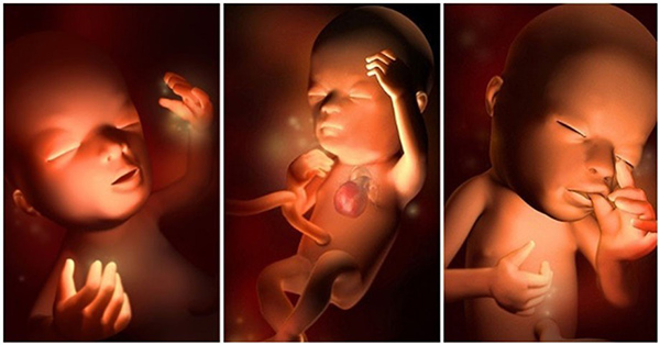 Dấu hiệu thai nhi khỏe mạnh 3 tháng giữa