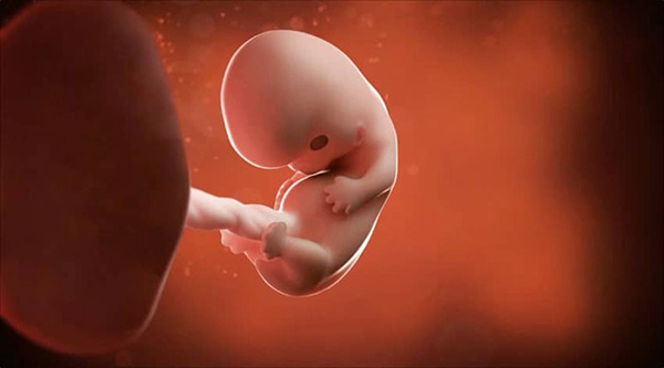 Những trường hợp nào khiến mẹ không nghe thấy tim thai