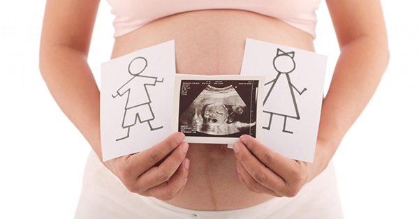 Nhịp tim thai 170 là trai hay gái