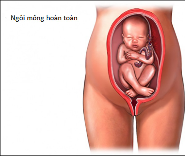thai-ngoi-mong-toan-than Thai ngôi mông toàn thân
